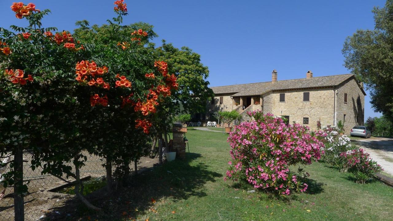 Agriturismo Podere Luchiano Amelia Exteriér fotografie