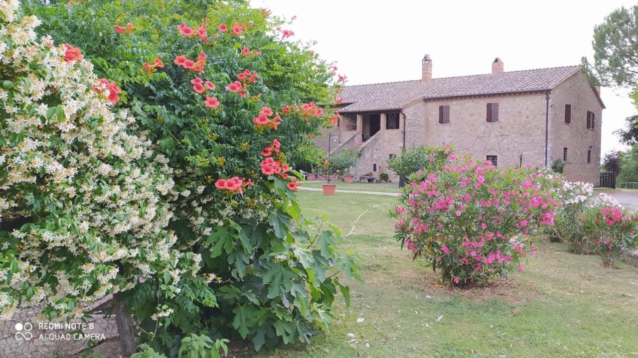Agriturismo Podere Luchiano Amelia Exteriér fotografie
