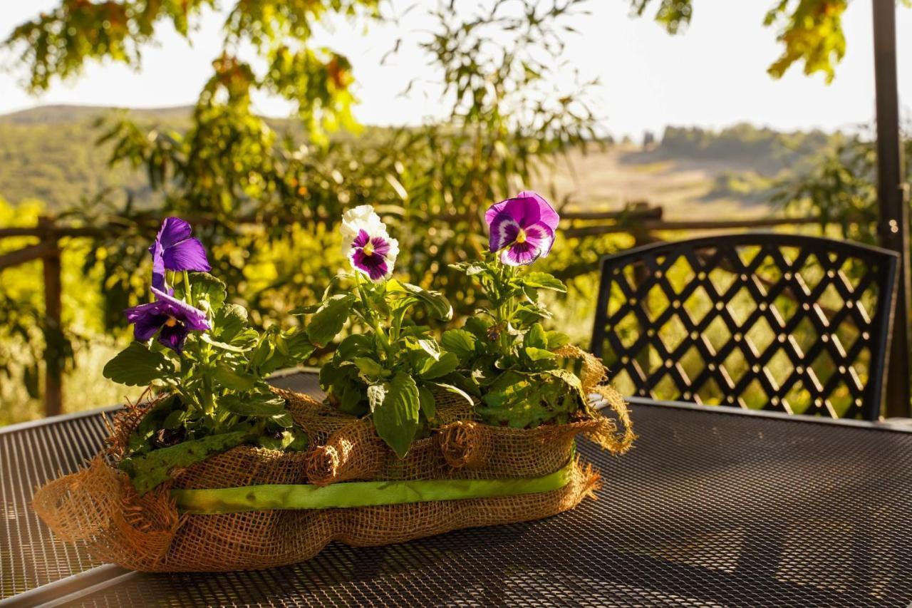 Agriturismo Podere Luchiano Amelia Exteriér fotografie