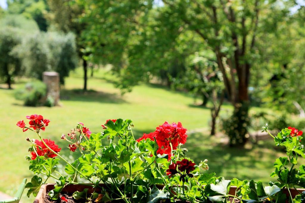 Agriturismo Podere Luchiano Amelia Exteriér fotografie