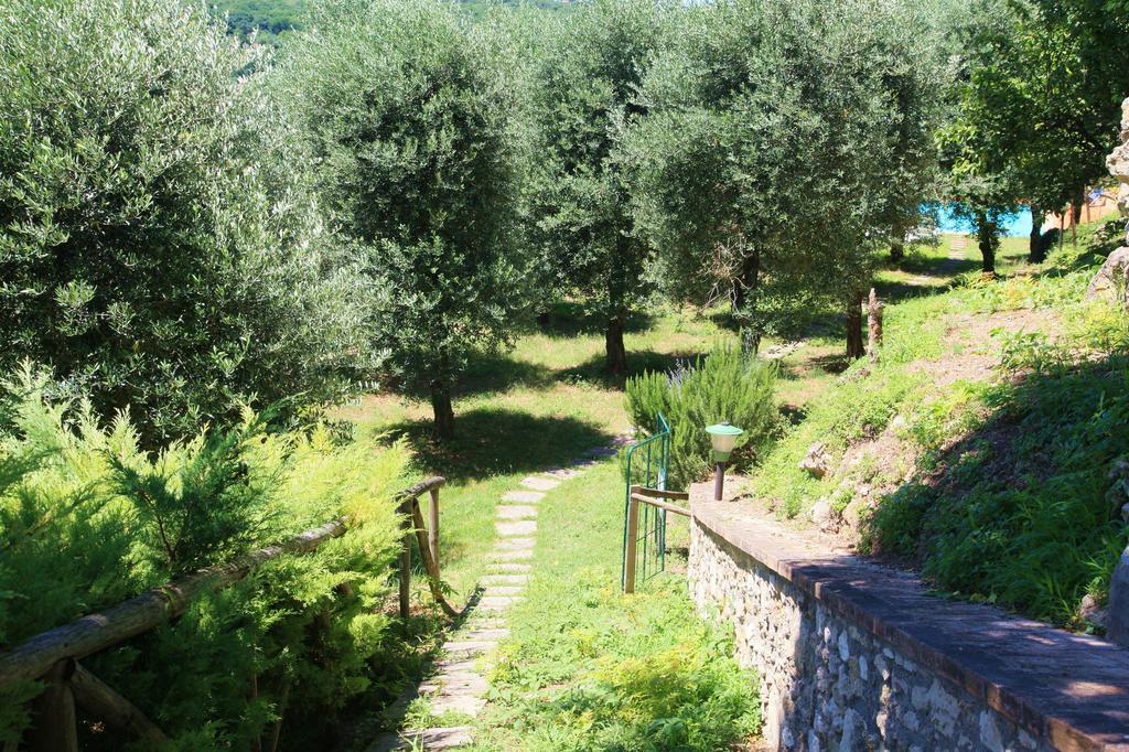 Agriturismo Podere Luchiano Amelia Exteriér fotografie