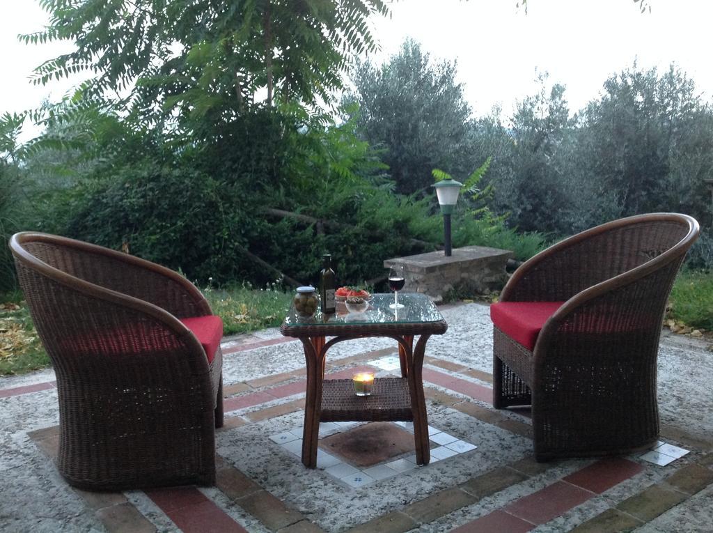 Agriturismo Podere Luchiano Amelia Exteriér fotografie