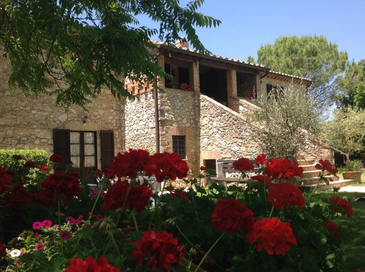 Agriturismo Podere Luchiano Amelia Exteriér fotografie